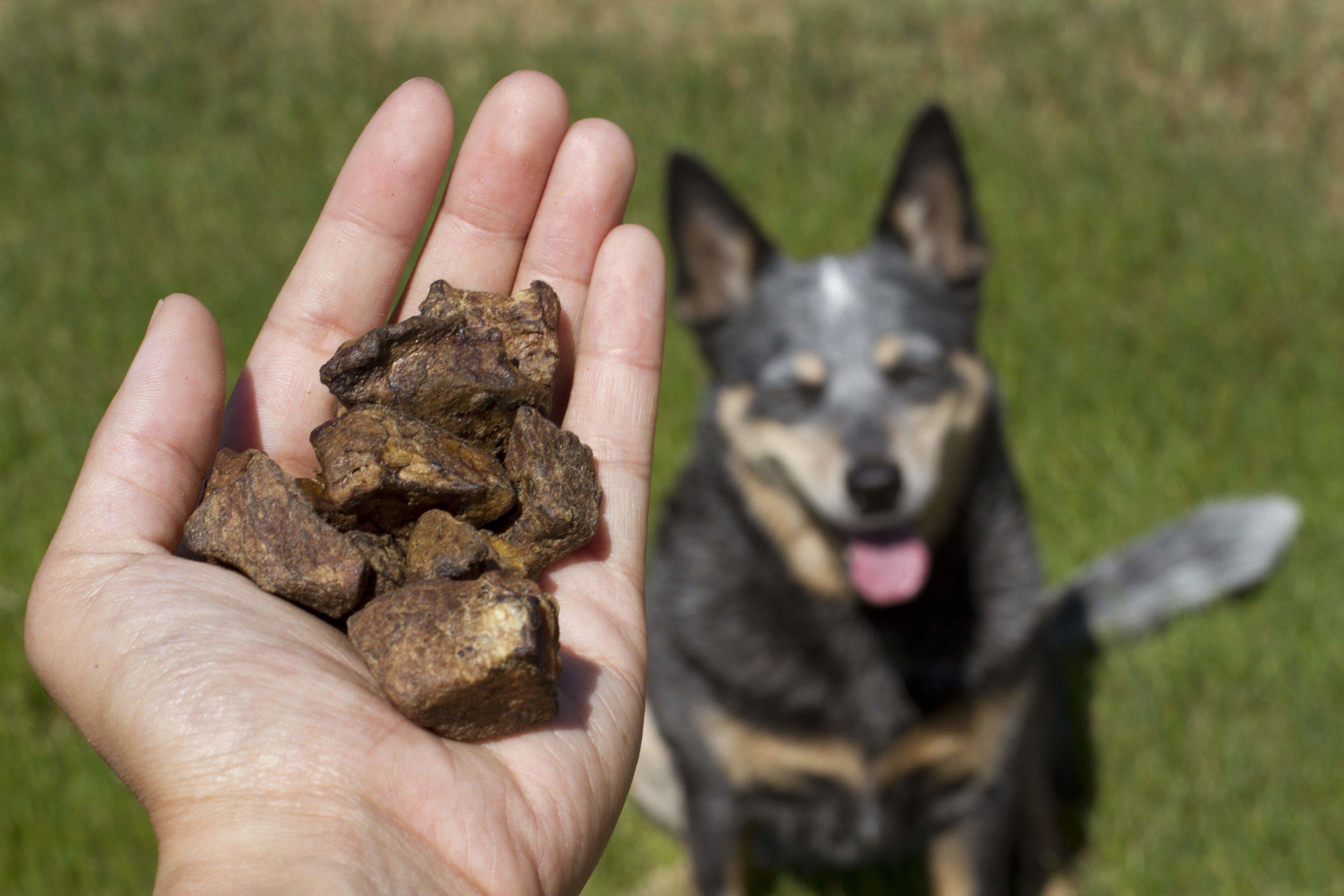 RedBarn Bully Nuggets